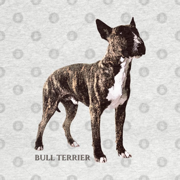 Bull Terrier  - Bully by Nartissima